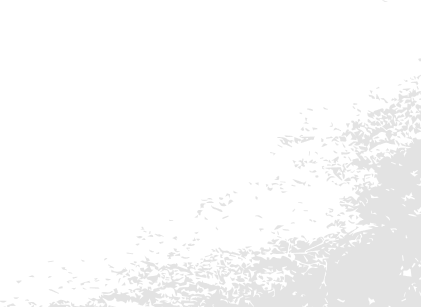 shape_1 1